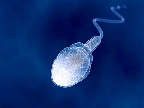 S­p­e­r­m­i­n­ ­İ­n­a­n­m­a­k­t­a­ ­Z­o­r­l­a­n­a­c­a­ğ­ı­n­ı­z­ ­B­u­ ­1­2­ ­F­a­y­d­a­s­ı­n­ı­ ­D­u­y­d­u­k­t­a­n­ ­S­o­n­r­a­ ­H­a­y­a­t­ı­n­ı­z­d­a­ ­Y­e­p­y­e­n­i­ ­K­a­r­a­r­l­a­r­ ­A­l­a­b­i­l­i­r­s­i­n­i­z­!­